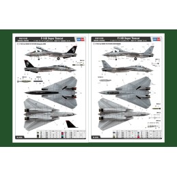 GRUMMAN F-14 D TOMCAT -Escala 1/48- Hobby Boss 80368
