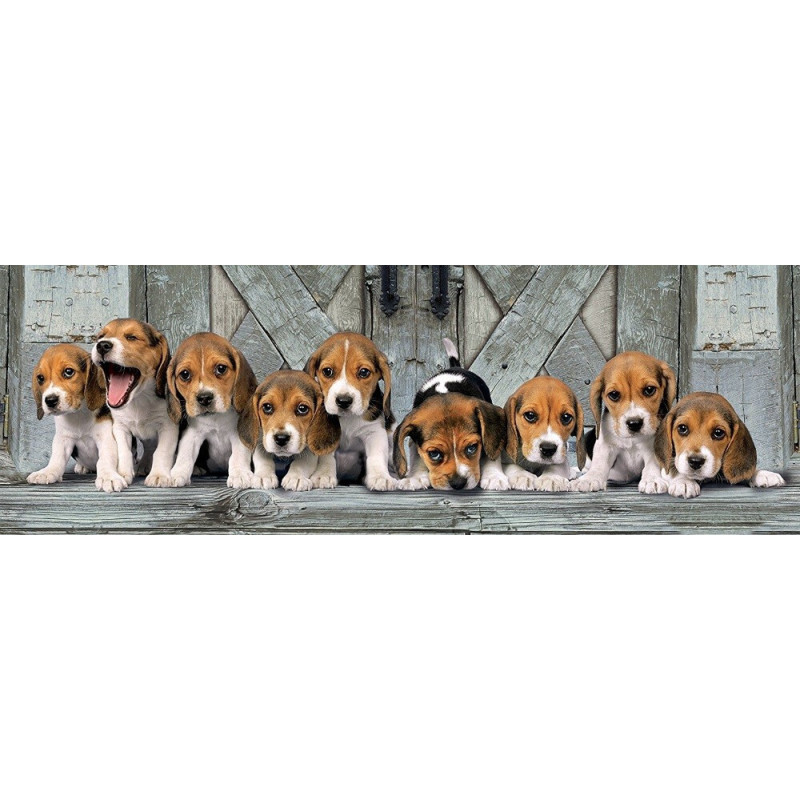 PUZZLE 1000 PZS PANORAMA BEAGLES - CLEMENTONI 39435 PUZZLE 1000 PZS PANORAMA BEAGLES - CLEMENTONI 39435