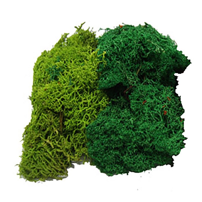 MUSGO NATURAL COLOR VERDE VARIADO 50 grms MUSGO NATURAL COLOR VERDE VARIADO 50 grms