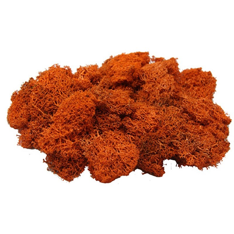 MUSGO NATURAL COLOR ROJIZO 50 grms MUSGO NATURAL COLOR ROJIZO 50 grms
