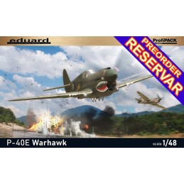 CURTISS P-40 E Warhawk -Escala 1/48- Eduard 82241