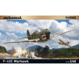 CURTISS P-40 E Warhawk -Escala 1/48- Eduard 82241
