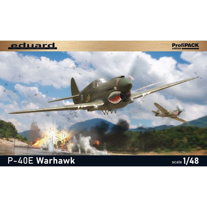 CURTISS P-40 E Warhawk -Escala 1/48- Eduard 82241 CURTISS P-40 E Warhawk -Escala 1/48- Eduard 82241