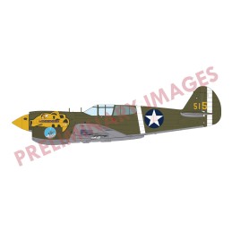 CURTISS P-40 E Warhawk -Escala 1/48- Eduard 82241