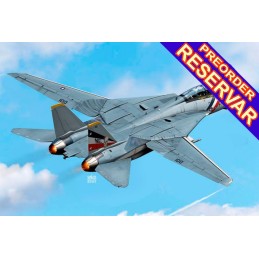 GRUMMAN F-14D TOMCAT "VF-2 Bounty Hunters" -Escala 1/72- Academy 12590