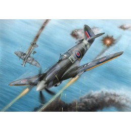 SUPERMARINE SPITFIRE F MK.21 SQ.91 - ESCALA 1/72 - SPECIAL HOBBY 72227