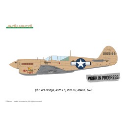 CURTISS P-40 N WARHAWK "Royal Class" -Escala 1/48- Eduard R0025