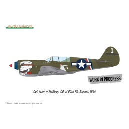 CURTISS P-40 N WARHAWK "Royal Class" -Escala 1/48- Eduard R0025