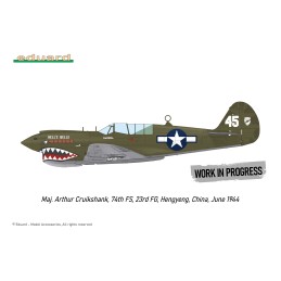 CURTISS P-40 N WARHAWK "Royal Class" -Escala 1/48- Eduard R0025