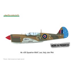 CURTISS P-40 N WARHAWK "Royal Class" -Escala 1/48- Eduard R0025