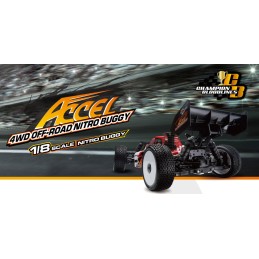 COCHE BUGGY 1:8 Nitro  ACCEL RTR MY00801