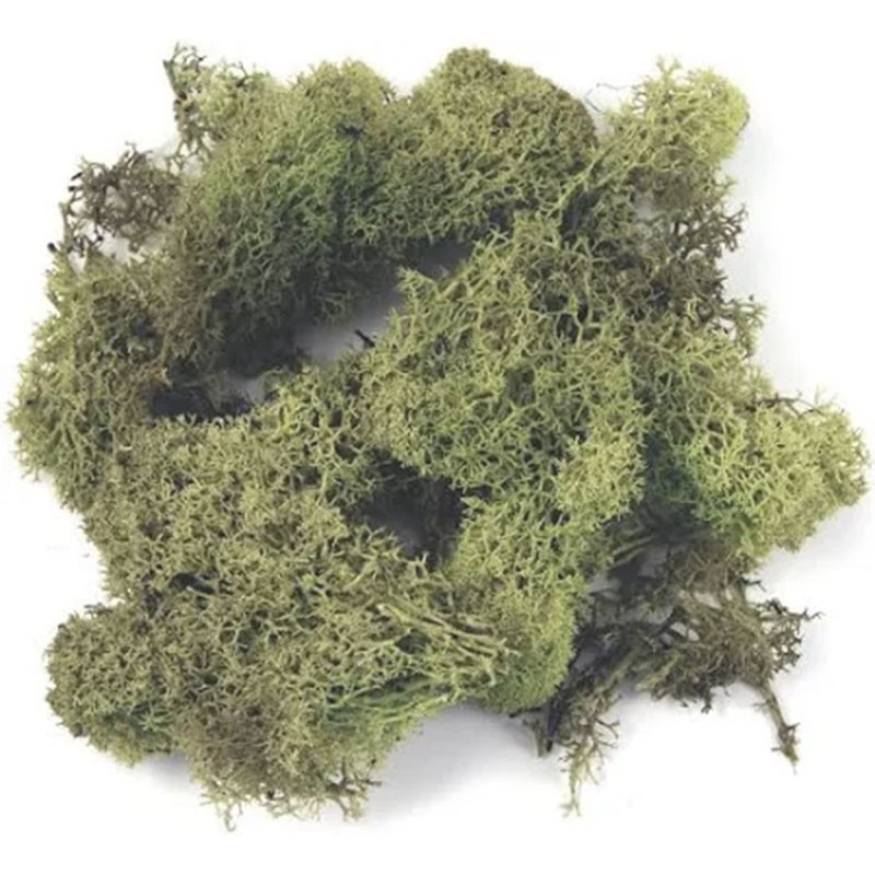 MUSGO NATURAL VERDE MENTA (50gr) - KERANOVA 602550