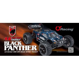 COCHE TRUGGY RTR Black panther NITRO - 1/8 (00803T-001)
