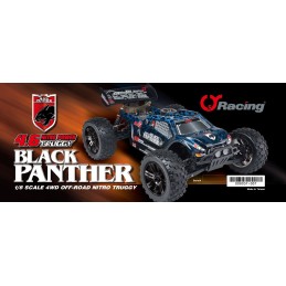 COCHE TRUGGY RTR Black panther NITRO - 1/8 (00803T-001)
