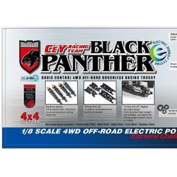COCHE TRUGGY RTR Black panther electric - 1/8 (00804T-001)