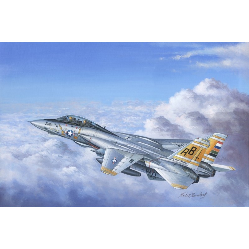 GRUMMAN F-14A Tomcat -Escala 1/48- Hobby Boss 80366