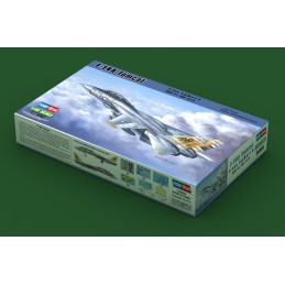 GRUMMAN F-14A Tomcat -Escala 1/48- Hobby Boss 80366