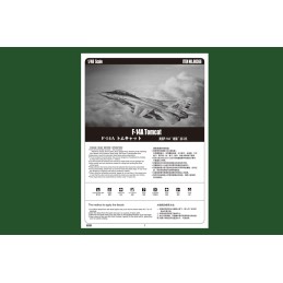 GRUMMAN F-14A Tomcat -Escala 1/48- Hobby Boss 80366