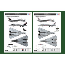 GRUMMAN F-14 B TOMCAT (Bomcat) -Escala 1/48- Hobby Boss 80367