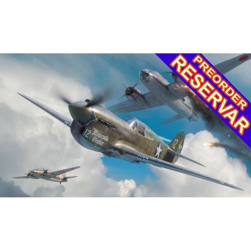 CURTISS P-40 E Warhawk -Escala 1/48- EDUARD 84207