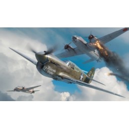 CURTISS P-40 E Warhawk -Escala 1/48- EDUARD 84207
