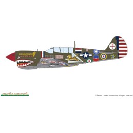 CURTISS P-40 N Warhawk "15000th" EDUARD-LIMITED -Escala 1/48- Eduard 11193