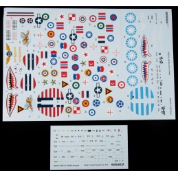 CURTISS P-40 N Warhawk "15000th" EDUARD-LIMITED -Escala 1/48- Eduard 11193