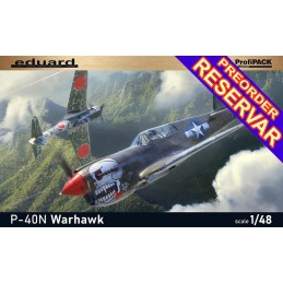 CURTISS P-40 N Warhawk -Escala 1/48- Eduard 82242