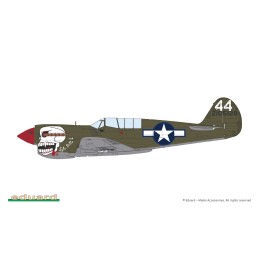 CURTISS P-40 N Warhawk -Escala 1/48- Eduard 82242