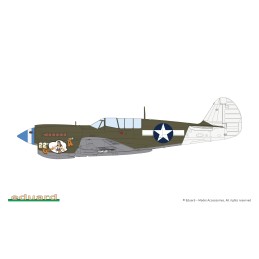 CURTISS P-40 N Warhawk -Escala 1/48- Eduard 82242