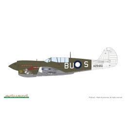 CURTISS P-40 N Warhawk -Escala 1/48- Eduard 82242