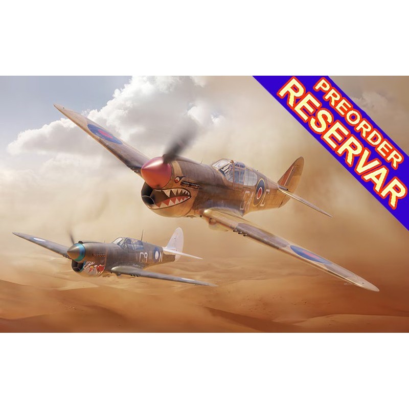 CURTISS P-40 D KITTYHAWK (Dual Combo) -Escala 1/48- Eduard 11187 CURTISS P-40 D KITTYHAWK (Dual Combo) -Escala 1/48- Eduard 11187