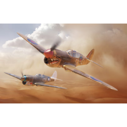 CURTISS P-40 D KITTYHAWK (Dual Combo) -Escala 1/48- Eduard 11187 CURTISS P-40 D KITTYHAWK (Dual Combo) -Escala 1/48- Eduard 11187