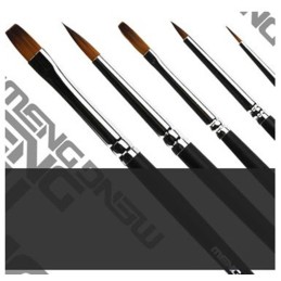 SET PINCELES PRECISION - Meng Model MTS-010