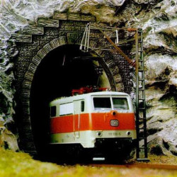 PORTAL TUNEL 1 VIA N - Locomotora Electrica (2 unidades)